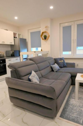 Apartament Studio przy basenie Słowianka, hala Arena Gorzów